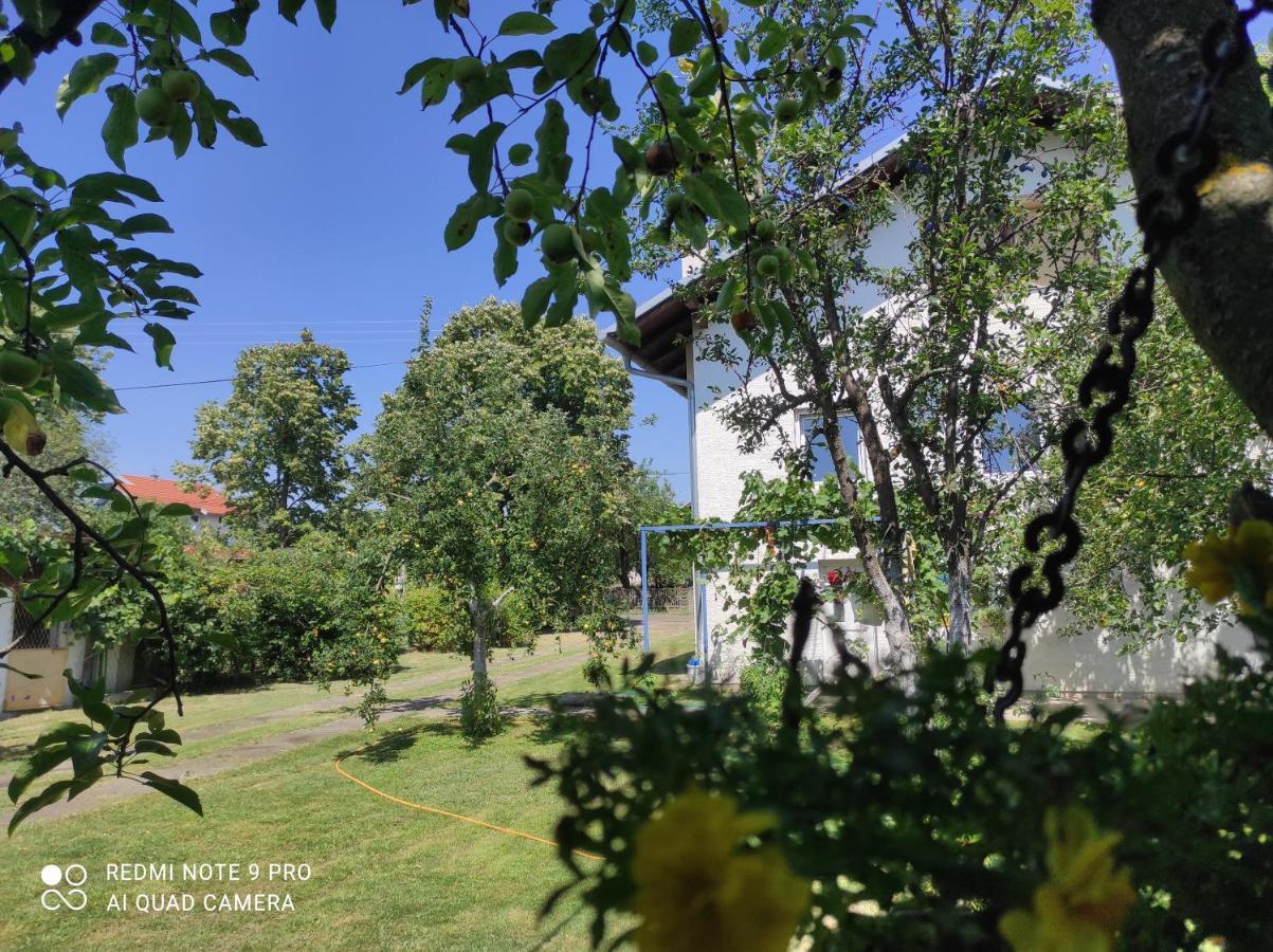 Home Of Nature - Kuca Prirode Odžak Exteriör bild
